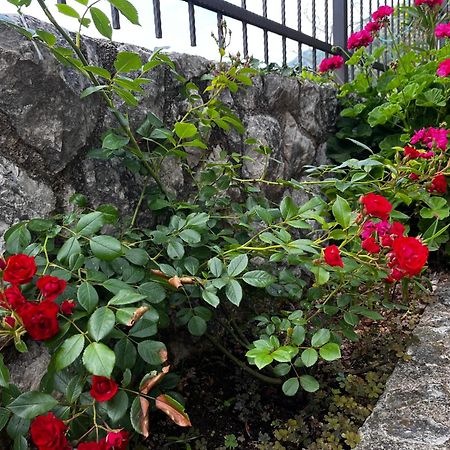 Apartments In Villa Viktoria Sutomore Luaran gambar